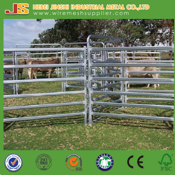 Australia Cattle Farm Equipment Rails Fence Livestock Panels