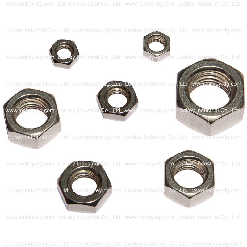 Passivated Stainless Steel Nut, Hex Nut, Flange Hut, Nylon Nut, Cap Nut, Wing Nut