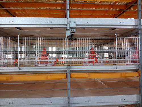 H Frame Broiler Cage