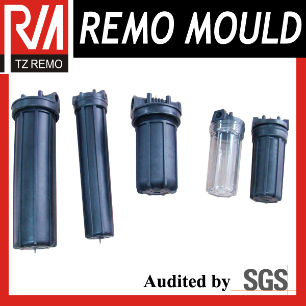 RM0301069 Plastic Injection Water Filter Mould