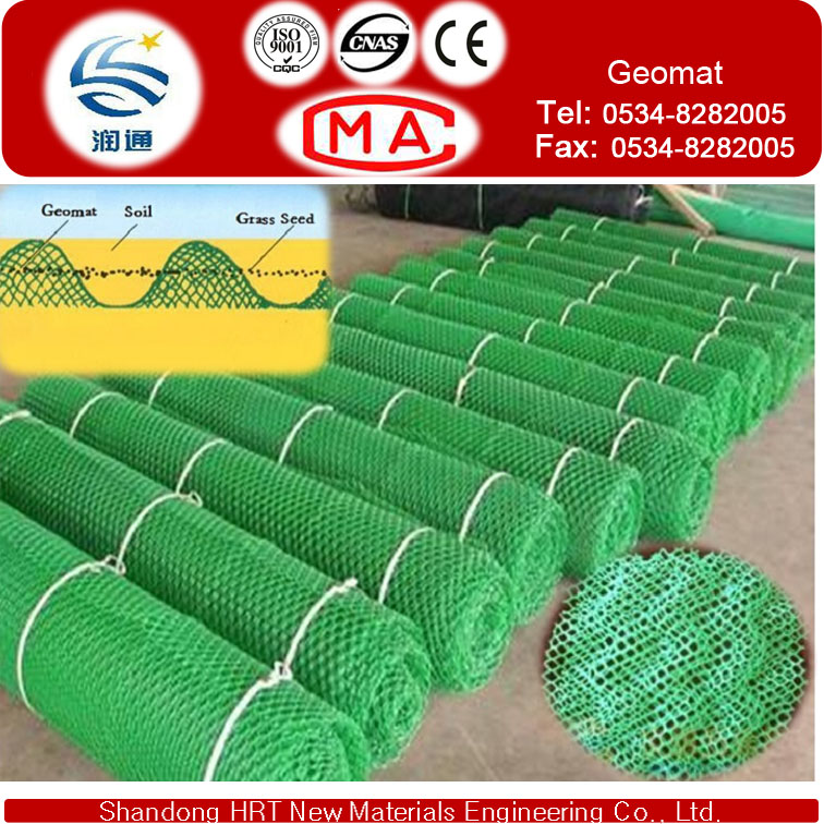 Protecting Vegetation Plastic Geomat to Fixed Water and Soil