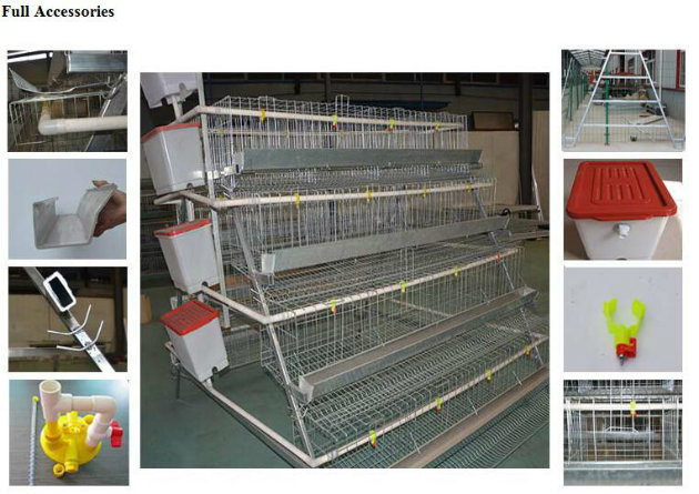 Hot Sale High Quality Chicken Cage or Bird Cage From China Factory for Chickens