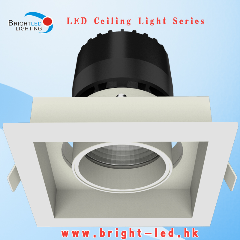 Bridgelux LED Downlight LED Ceiling Light