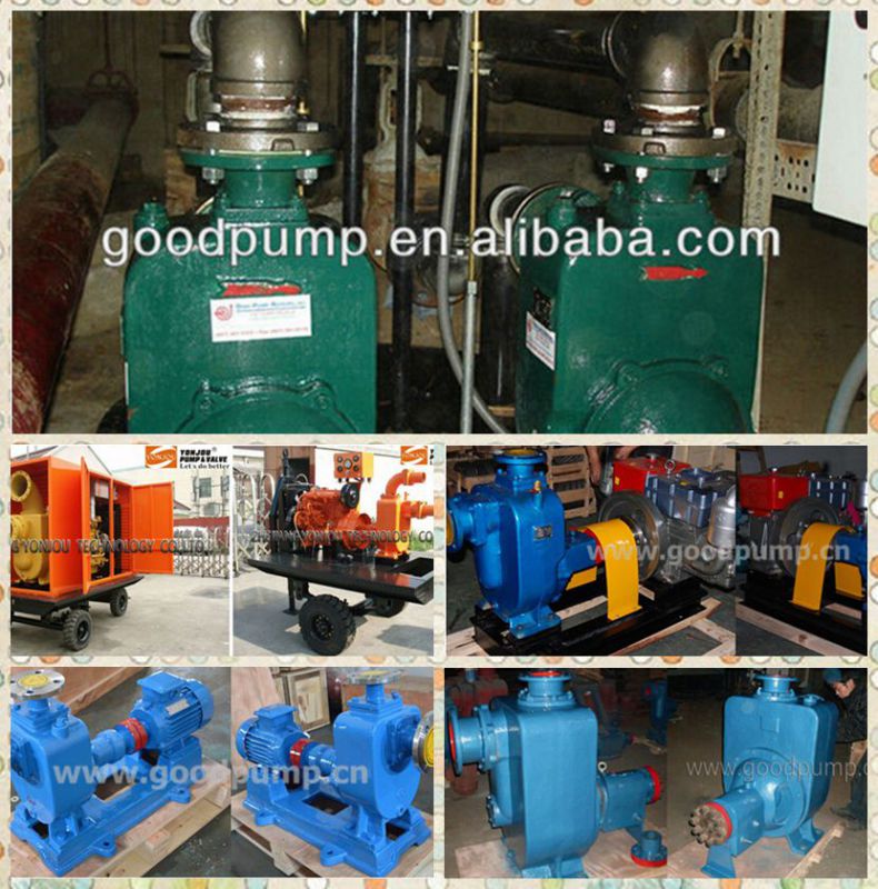 Zw Diesel Engine Horizontal Centrifugal Sewage Pump