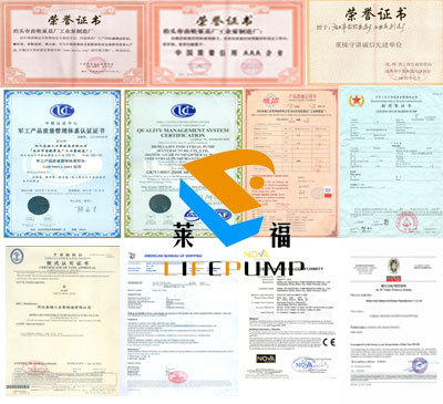 Hot Sell with Motor Nyp Series Gear Pump