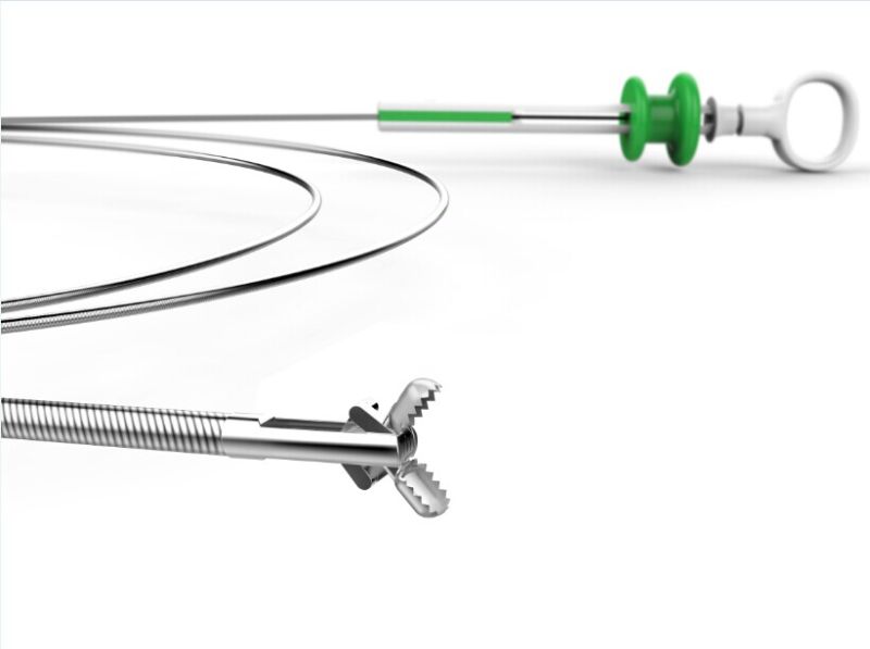 Single Use Sterilized Endoscopic Alligator Biopsy Forceps