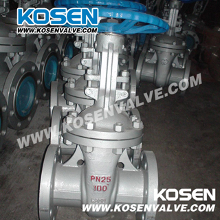 GOST Cast Steel Gate Valves Pn25 (Z40)