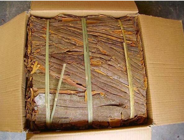 Raw Cinnamon (stick, split, broken, powder)