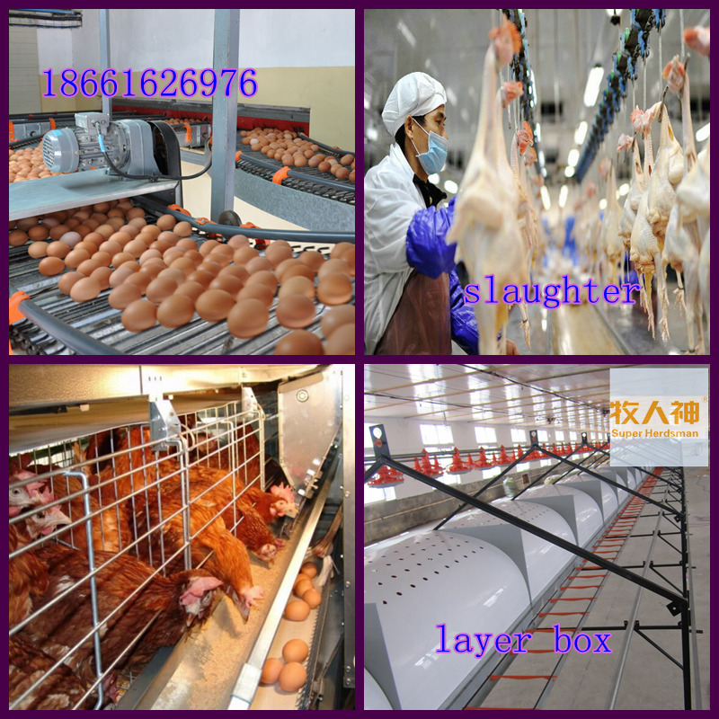 24'' Ajustable Speed Fan in Poultry House 2016