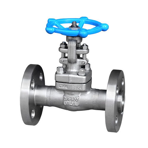 Forged Stainless Steel Flange Gate Valve Dn15-50