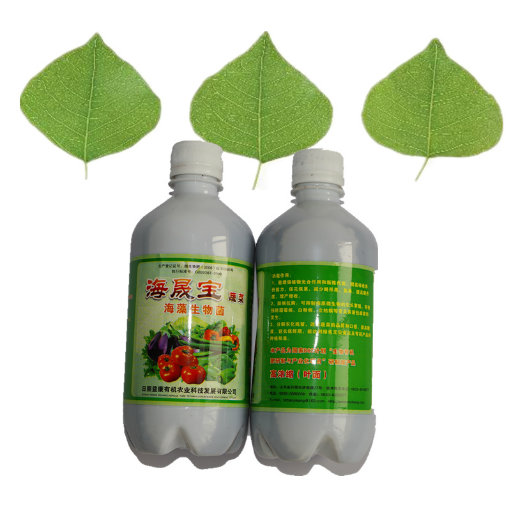 Microbial foliar organic fertilizer for health food