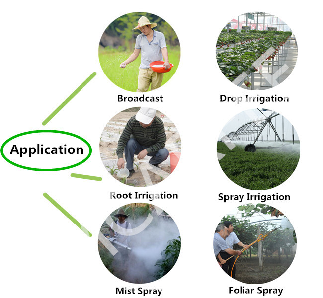 High-Efficiency Foliar Fertilizer Compound NPK 20-10-20+Te Fertilizer with Factory Price