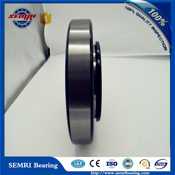 Zys Chrome Steel Cylindrical Roller Bearing (NU418)