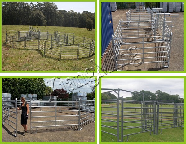 China Anping Portable Horse Panels Horse Panels for Sale Horse Round Pen