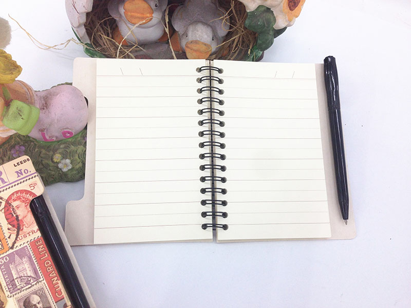 Promotional Recycled Spiral Notepad with Pen (NP(84K)-DX-01)