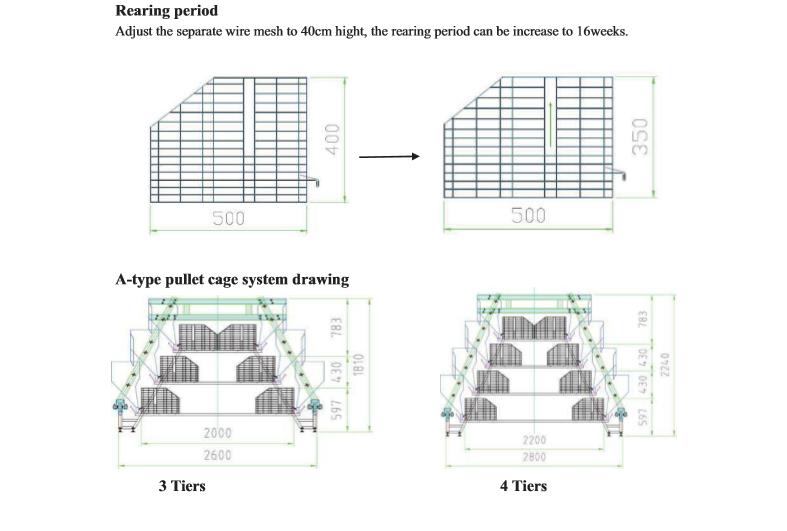 a-Type Pullet Cage System