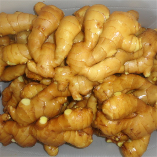 New Crop Fresh Ginger 2015 for Sale