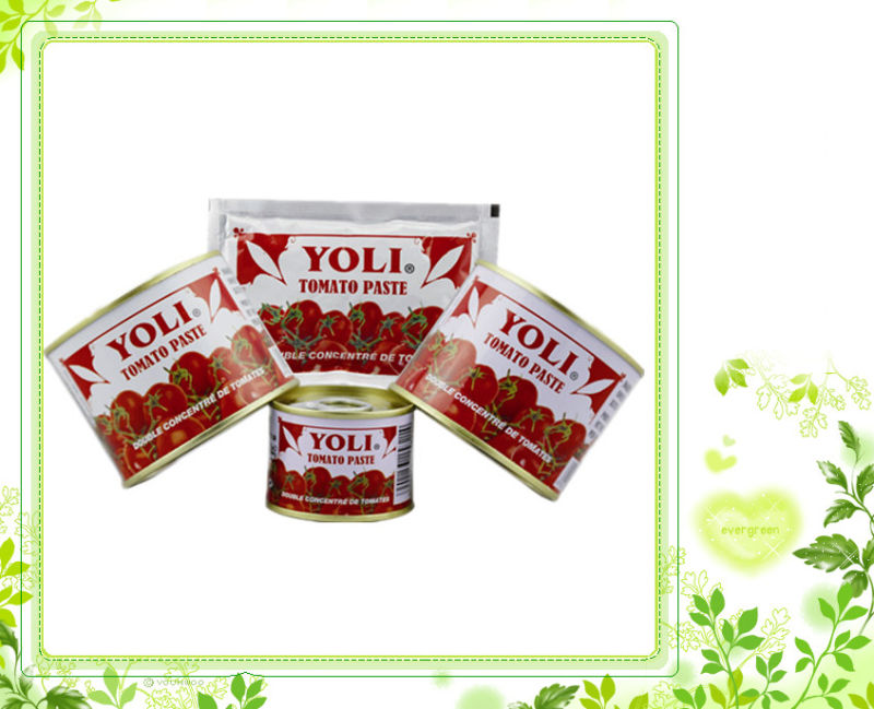 High Quality Hot Sell Double Concentrated Tomato Paste with 70g Sachet