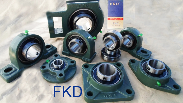 Fkd Pillow Block Bearings (UCP205/UCF205/UCT205/UCFL205/UC205/UK205/SA205/SB205/UEL205)