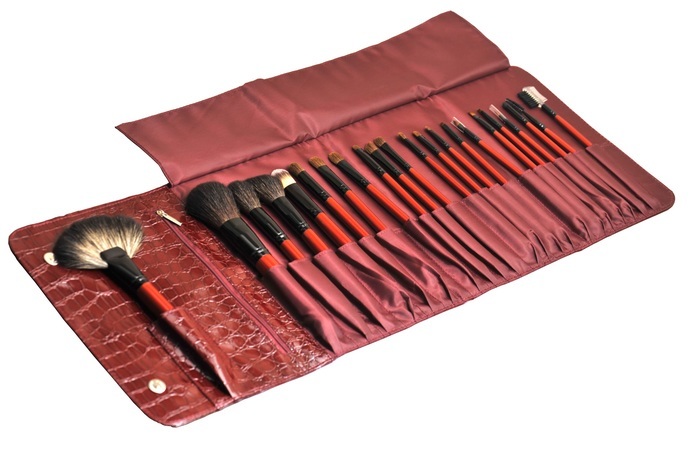 22PCS Professional Makeup Cosmetic Brush with Red Crocodile Pattern Pouch