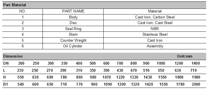 Title Disc Butterfly Type Check Valve