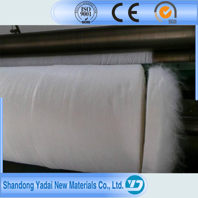 PP Woven Geotextiles by Professional Factory in China Geotextile Nonwoven