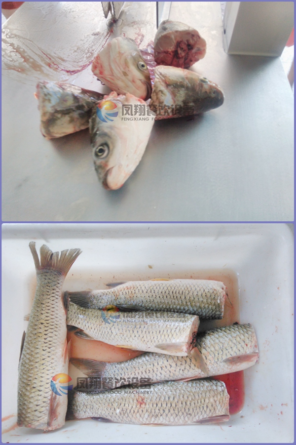 Industrial Automatic Fish Heads Cutter Slicer Cutting Slicing Processing Machine