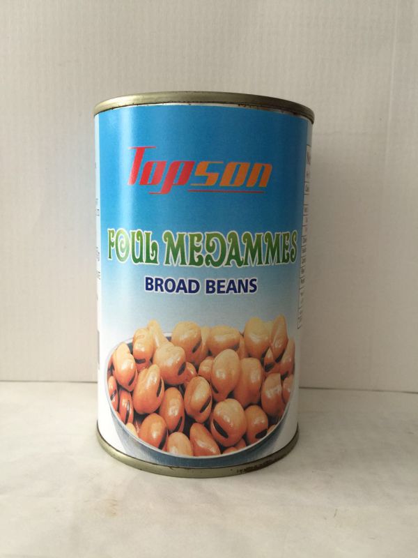 Delicious Beans Canned Broad Beans, Foul Medammes Broad Beans in Brine