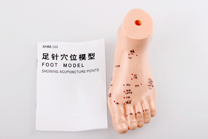 Foot Acupuncture Model (13cm)