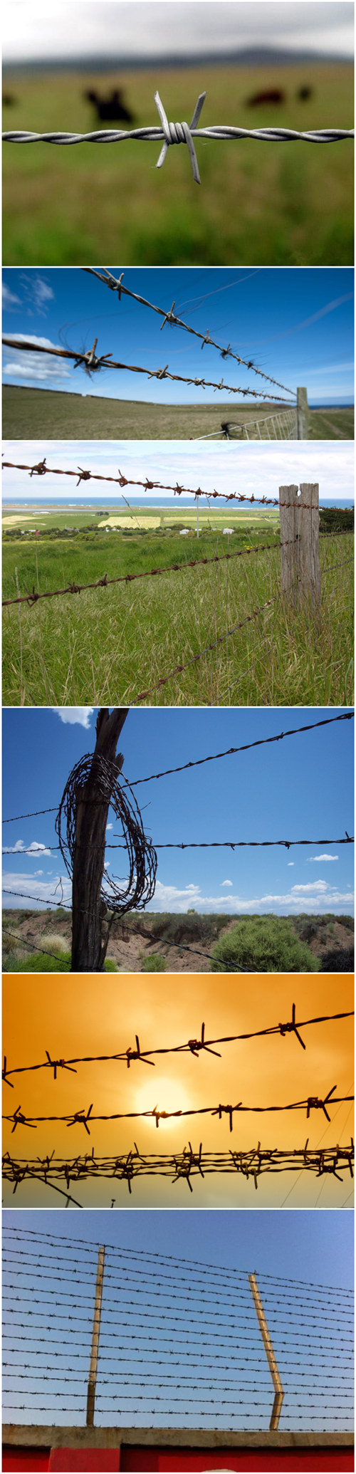 Made in China Barbed Wire Fence for Sale (ZDBWF)