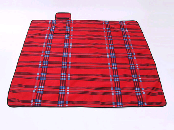 Thick Suede Moisture Pad Large 2*2 M Picnic Mat