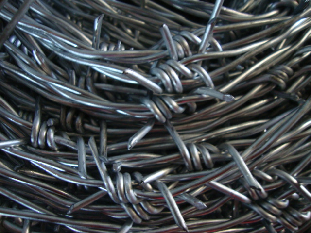 Quality Galvanized Barbed Wire (TYH-051)