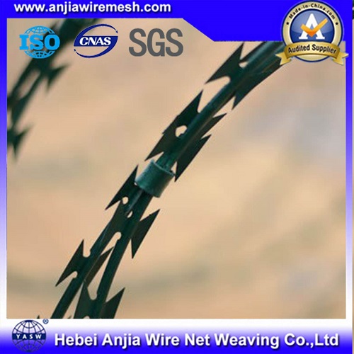 Hot Dipped Galvanized Razor Wire and Accordion Double Wire