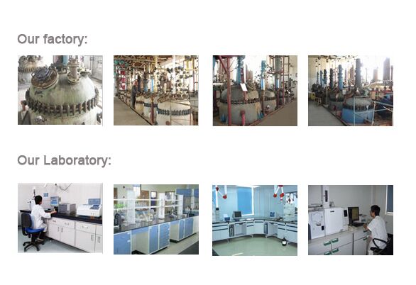 CAS: 303-42-4 Steroid Human Hormone Pharmaceutical Methenolone Enanthate