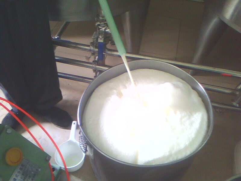 Rpdh Automatic Dairy Milk Cream Separator