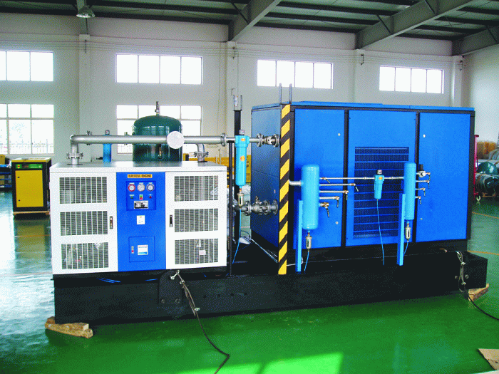 Non-Standard Customized Stationary Screw Air Compressor