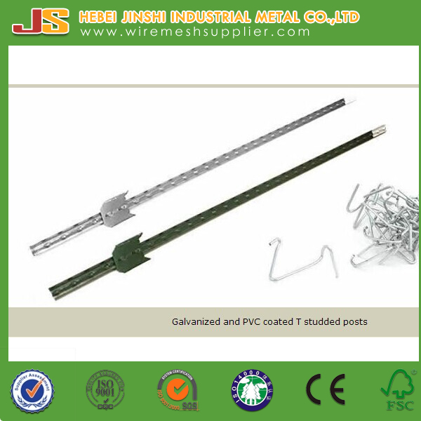 High Quality Green Painted Rail Steel Metal Studded T Post