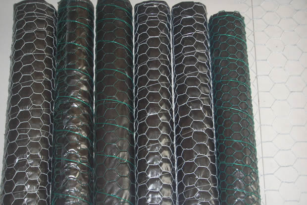 PVC Coated Hexagonal Wire Netting (1/2