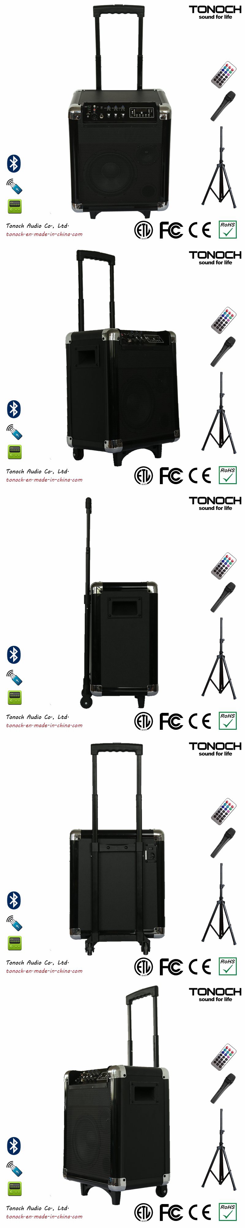 Factory Supply Plastic PA System Portable Stage Speaker with Battery