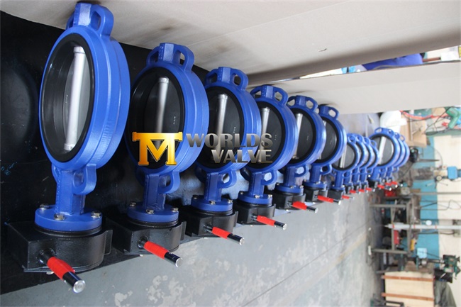 PTFE Coated Complete Control Butterfly Valve (CBF02-TA04)