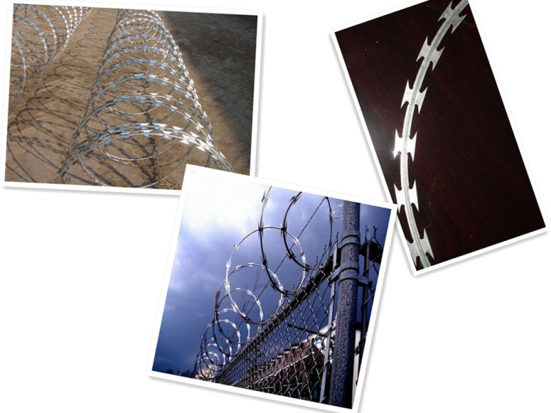 Anping Yaqi Superior Razor Barbed Wire