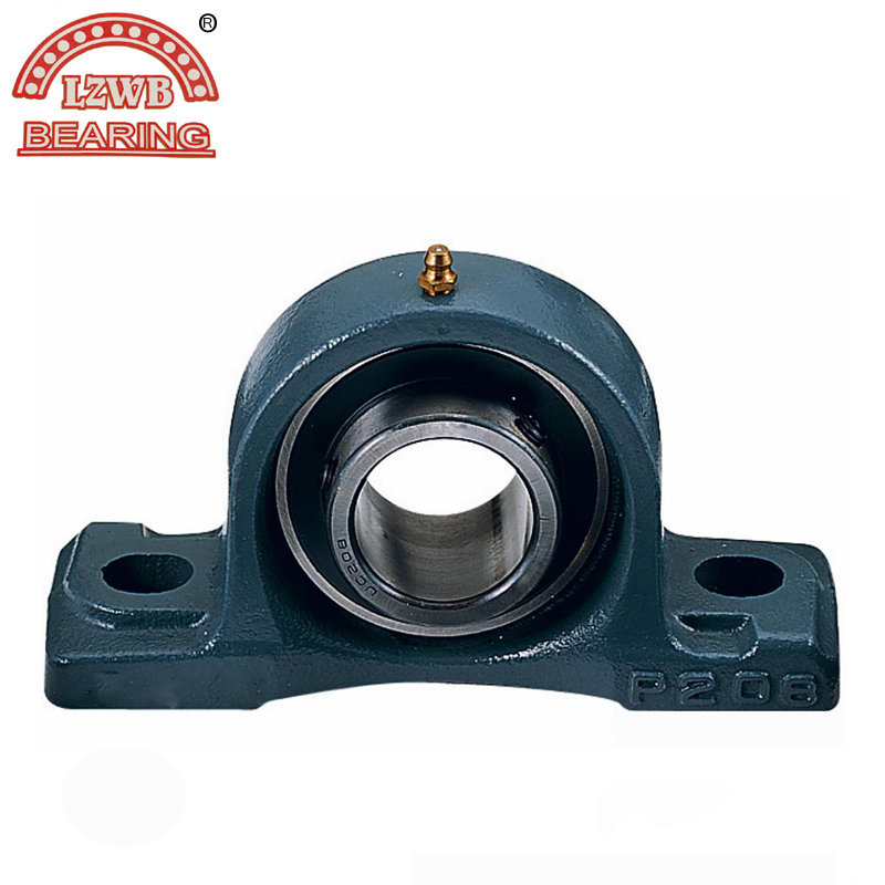 Stable Precision Pillow Block Bearing (UCP213)