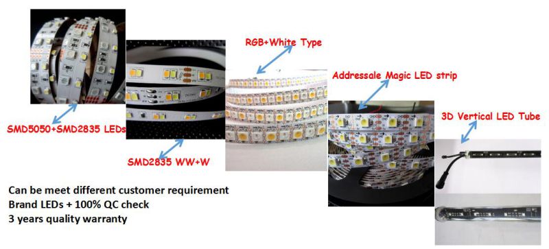 Flexible Waterproof Outdoor IP68 Digital RGB Ws LED Strip Lights