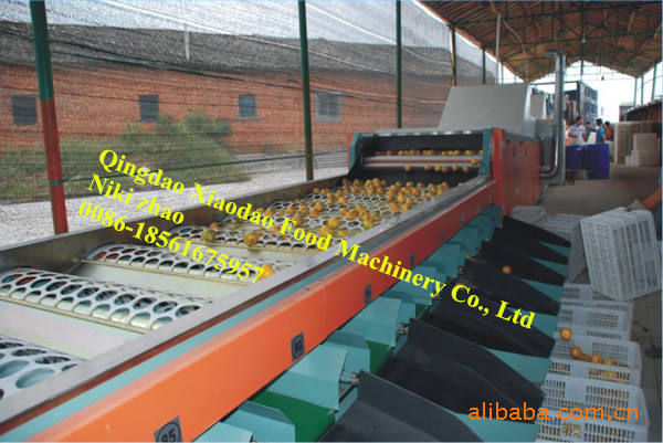 Vegetable and Fruit Sorting Machine/Grading Machine