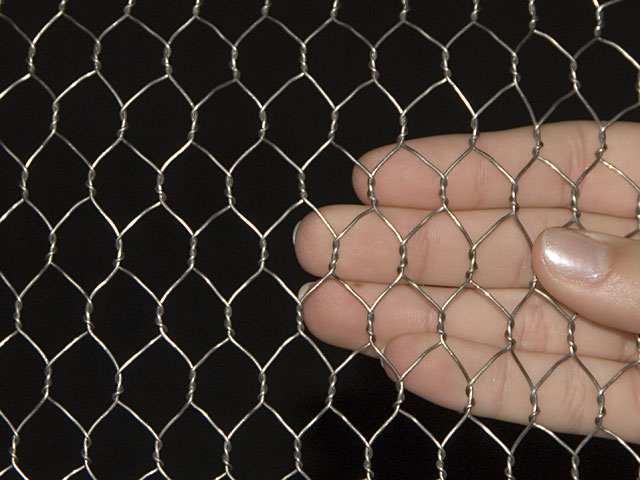 Galvanized and PVC Coated Hexagonal Wire Mesh