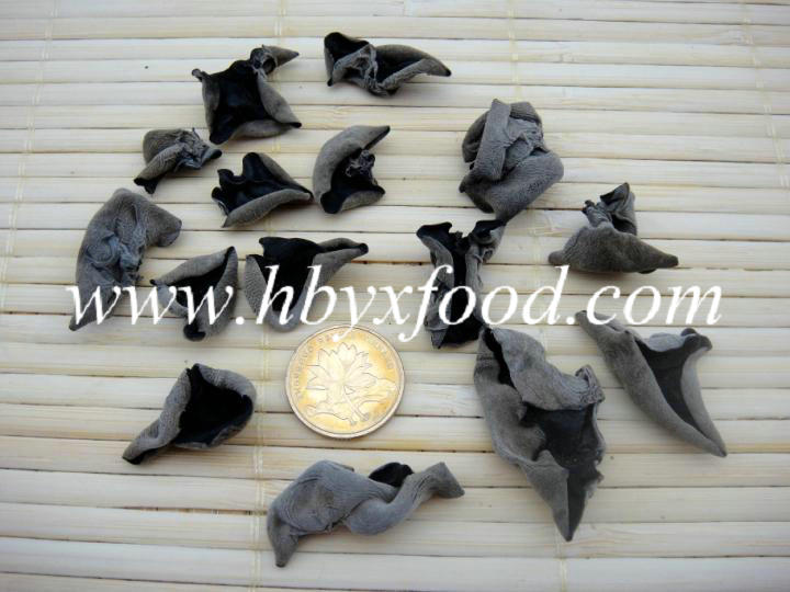 Dried Black Fungus Mushroom for Export