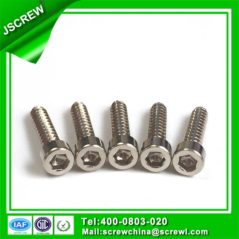 China Leading Hardware Factory Stainless Steel Hex Socket Head Cap Screws