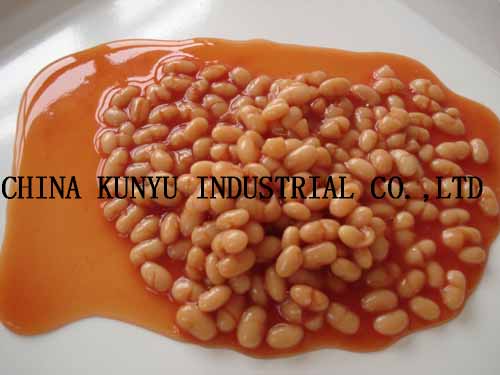 White Beans in Tins with High Quality