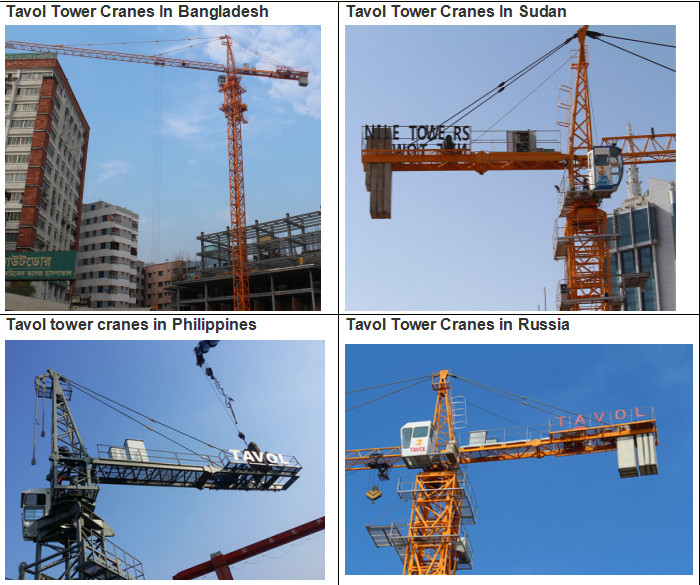 Topless 6515 Model Tower Crane with SGS