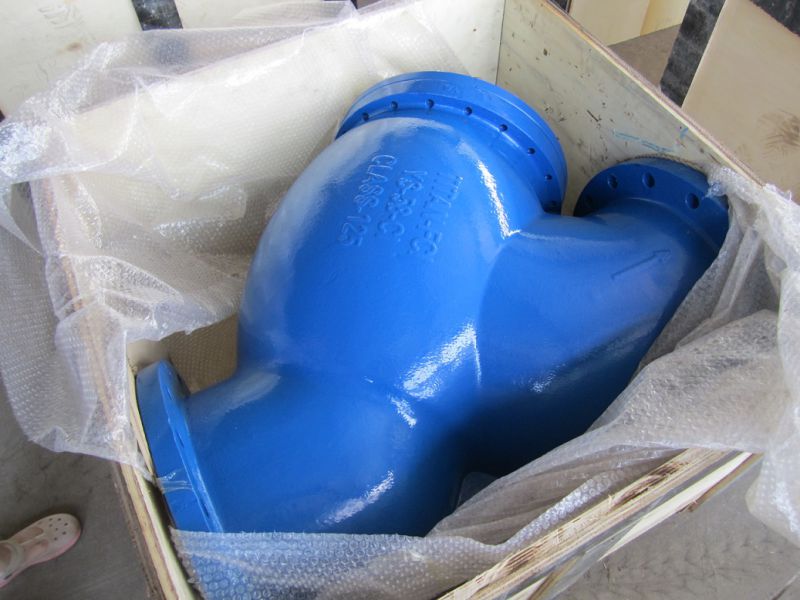 Double Flange Y Strainer, ANSI Class125 and 150